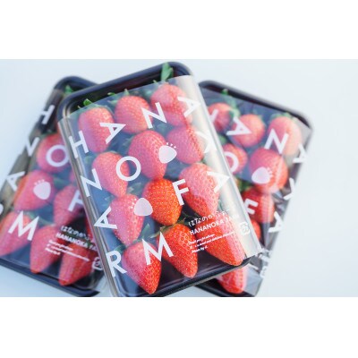 「はなのかファーム」自慢の甘い採れたていちご4パック　食べ比べセット