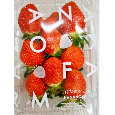 「はなのかファーム」自慢の甘い採れたていちご2パック 食べ比べセット