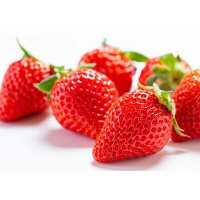 「はなのかファーム」自慢の甘い採れたていちご2パック 食べ比べセット