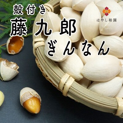 ふっくら藤九郎ぎんなん2Lサイズ　1kg