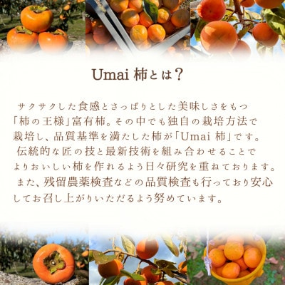 Umai 柿 富有 プレミアム 6玉(岐阜県瑞穂市産富有柿)