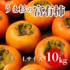うま杉の富有柿 L (岐阜県瑞穂市産富有柿)