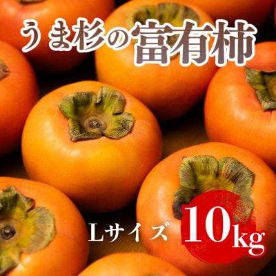 うま杉の富有柿 L (岐阜県瑞穂市産富有柿)