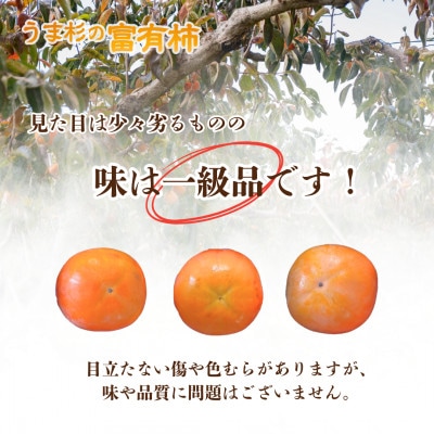 うま杉の富有柿 L (岐阜県瑞穂市産富有柿)