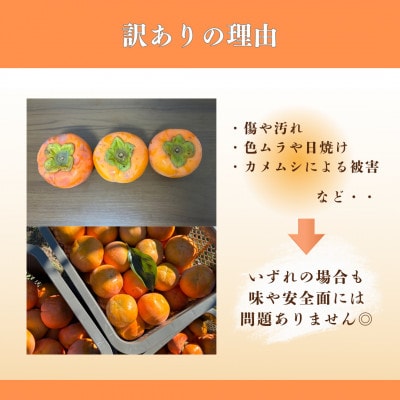 【訳あり・キズあり】岐阜県瑞穂市産 富有柿