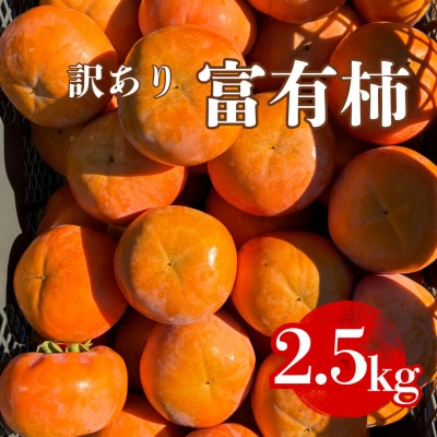 岐阜県瑞穂市産 訳あり富有柿 2.5kg