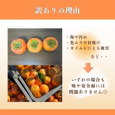 岐阜県瑞穂市産 訳あり富有柿 2.5kg