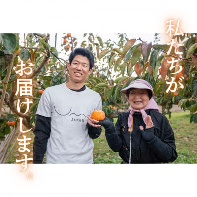 【さとふる限定】岐阜県瑞穂市産 訳あり富有柿 3kg