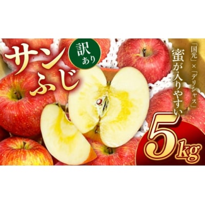 信州のりんご　サンふじ　訳あり　5キロ