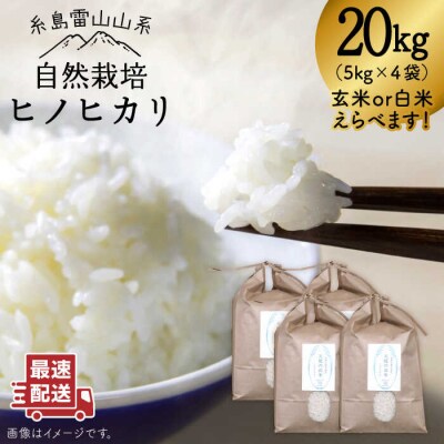 糸島産 ひのひかり 20kg