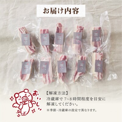 ぜん糀バラベーコンブロック(約100g×10)ZBB2