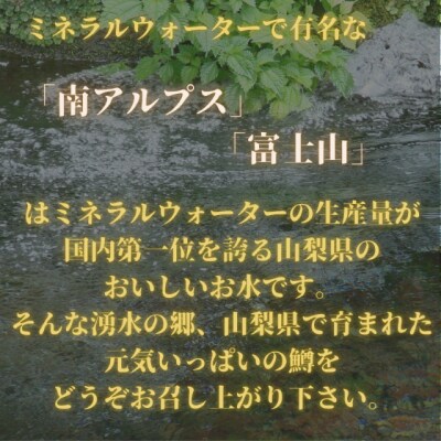 甲斐サーモン　西京漬け&塩こうじ漬け