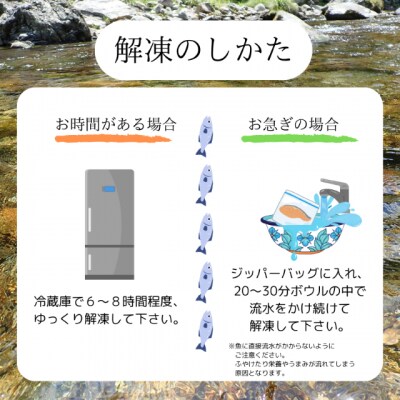 甲斐サーモン　西京漬け&塩こうじ漬け