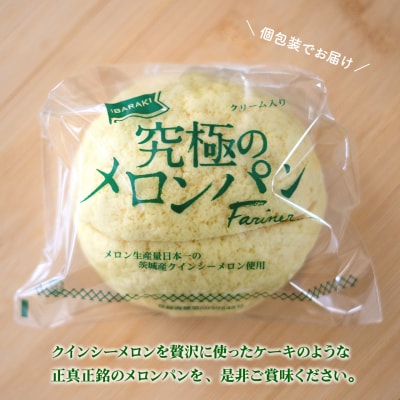 自慢の逸品!! 究極のメロンパン 10個入×1箱