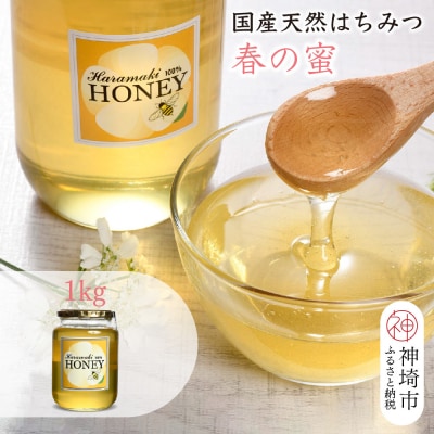 【数量限定】国産天然蜂蜜(春の蜜) 1kg (H049115)