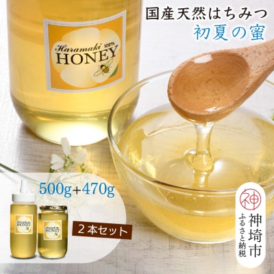 【数量限定】国産天然蜂蜜(初夏の蜜)500g&470g【合計970g】(H049117)