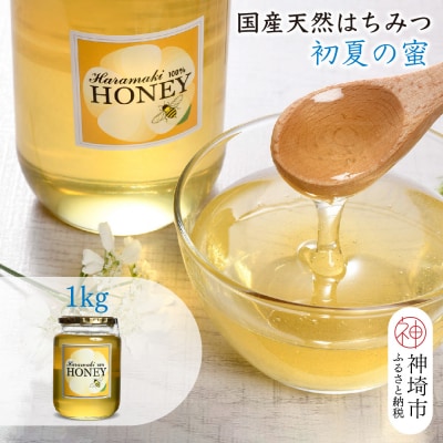 【数量限定】国産天然蜂蜜(初夏の蜜)1kg (H049118)