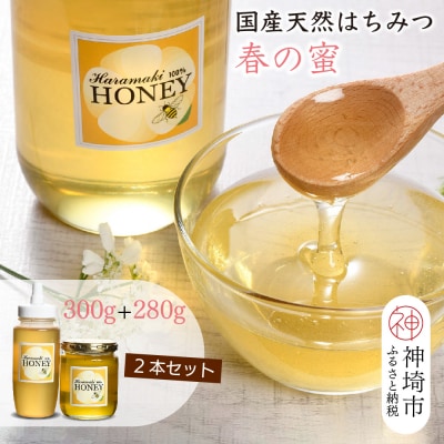 【数量限定】国産天然蜂蜜(春の蜜)300g&280g【合計580g】(H049127)