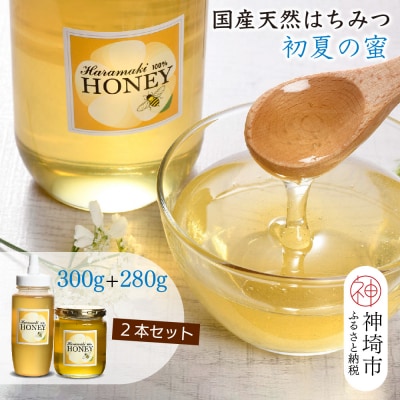 【数量限定】国産天然蜂蜜(初夏の蜜)300g&280g【合計580g】(H049128)