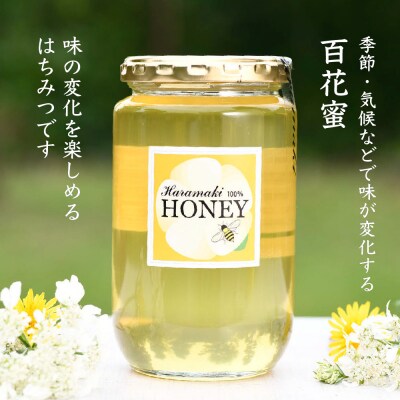 【数量限定】国産天然蜂蜜(初夏の蜜)300g&280g【合計580g】(H049128)