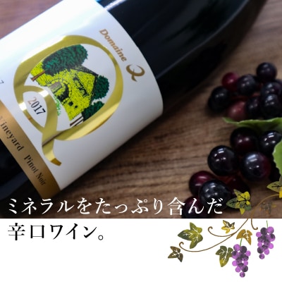 ドメーヌQワイン　ピノ・ノワール　720ml