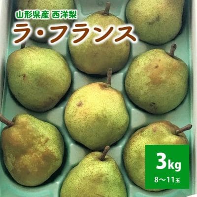 西洋梨(ラ・フランス)3kg　8～11玉　ご家庭用　0049-2610