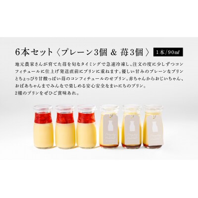 まいにちのプリン 2種食べ比べ6本セット