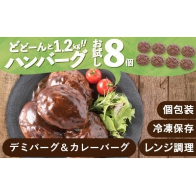 累計40万個突破記念!お試し1.2kg!デミ&カレーハンバーグセット計8個【訳あり】.ZI425