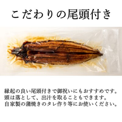 【国内産】上うなぎ蒲焼.3尾(約450g)『1~2ヶ月前後でお届け!!』.CA038