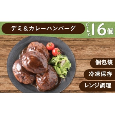 累計300万個突破記念!どーんと16個!デミ&カレーハンバーグセット計16個【訳あり】.AB617