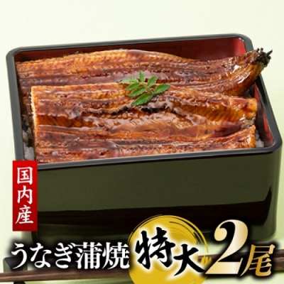 【国内産】【有頭】うなぎ蒲焼 (特大) 2尾 <計500g前後>.BE063