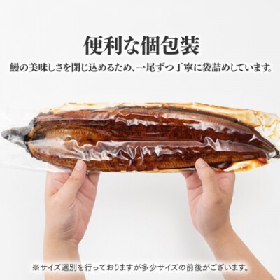 【国内産】【有頭】うなぎ蒲焼 (特大) 2尾 <計500g前後>.BE063