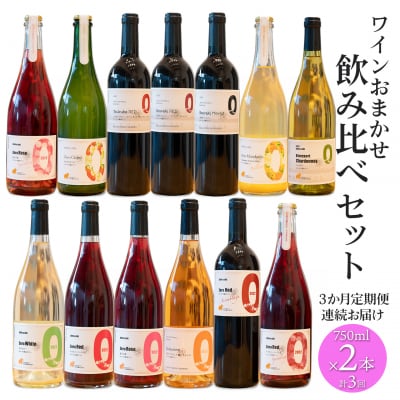 【3ヶ月定期便/毎月連続お届け】 ワイン おまかせ 飲み比べセット 750ml×2本 さかいまち