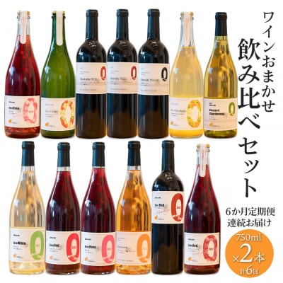 K2432 【6ヶ月定期便/毎月連続お届け】 ワイン おまかせ 飲み比べセット 750ml×2本 さ