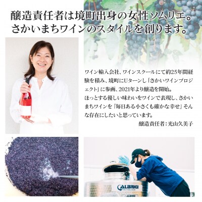 【リンゴの果実酒シードル6本セット】 330ml×6本 さかいまちワイナリー K2653
