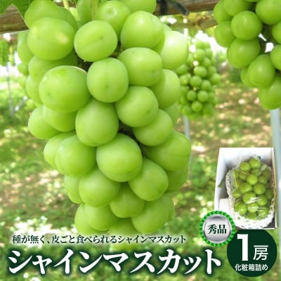 ぶどう(シャインマスカット)大房　1房(850g～950g)　0025-2608