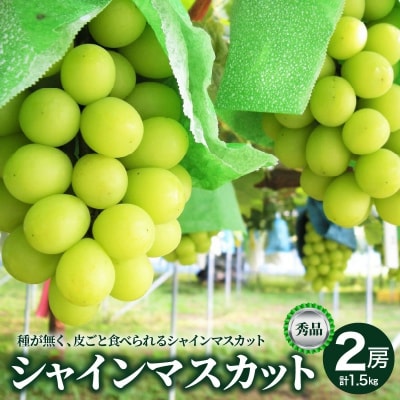 ぶどう(シャインマスカット)2房　合計1.5kg以上　0025-2611