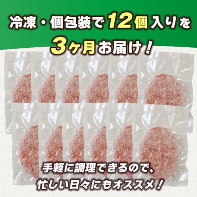 【定期便3ヶ月】淡路島 極味ハンバーグ 150g×12個　ao05166