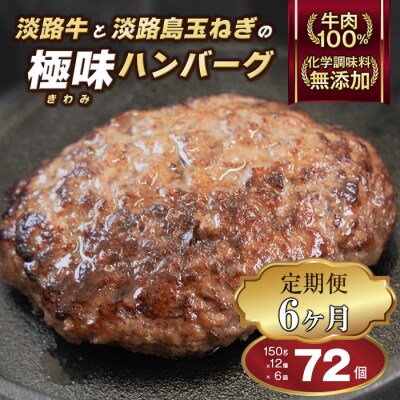 【定期便6ヶ月】淡路島 極味ハンバーグ 150g×12個　ao05167