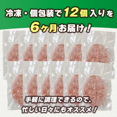 【定期便6ヶ月】淡路島 極味ハンバーグ 150g×12個　ao05167