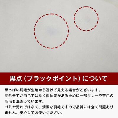 薄掛け羽毛 合い掛け 日本製 600g エクセルゴールド 軽量生地 ふわかる1506　ao12057