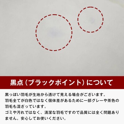 薄掛け羽毛 合い掛け 日本製 800g エクセルゴールド 軽量生地 ふわかる1508　ao12063