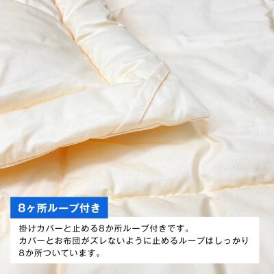 清潔掛ふとん 洗えるインビスタ ダクロン 肌掛布団 日本製 SL ふわもち1507　ao12067