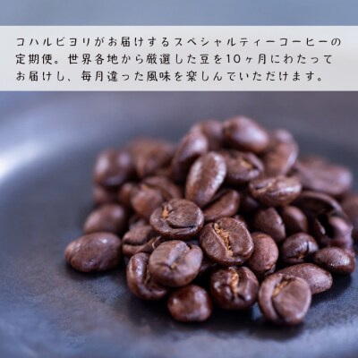 【定期便10ヶ月】スペシャルティーコーヒー定期便(豆200g×2種×10回)計4kg　ap06038