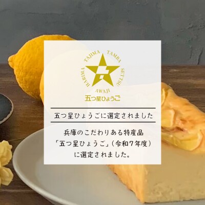 淡路島レモンのバスクチーズケーキ 480g　ap06041