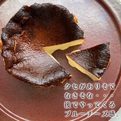ちょっぴり大人びたブルーチーズバスク 4号サイズ　ap06044