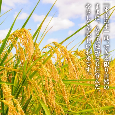 來子道米 ～きしどうまい～ 450g×3個 【栽培期間中、無農薬無肥料】　ar08007