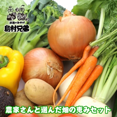 農家さんと選んだ畑の恵みセット【お届け日指定返礼品】　as02025