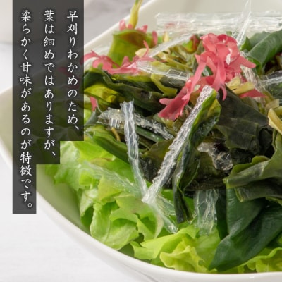 淡路島産 塩蔵わかめ 120g×6袋　as21049