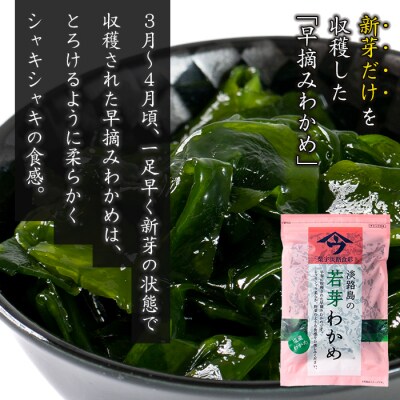 淡路島産 わかめセット(茎わかめ、塩蔵わかめ、カットわかめ)各1袋　as21054